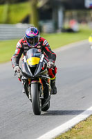 Oulton-Park-21st-March-2020;PJ-Motorsport-Photography-2020;anglesey;brands-hatch;cadwell-park;croft;donington-park;enduro-digital-images;event-digital-images;eventdigitalimages;mallory;no-limits;oulton-park;peter-wileman-photography;racing-digital-images;silverstone;snetterton;trackday-digital-images;trackday-photos;vmcc-banbury-run;welsh-2-day-enduro